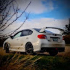 Meet your Posher, Jake